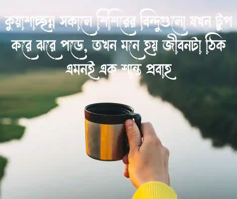 শিশির ভেজা সকাল নিয়ে&nbsp; উক্তি&nbsp;