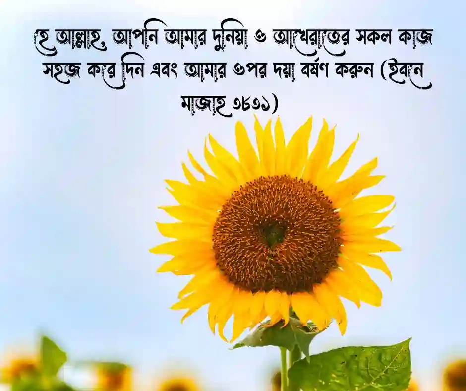 _শুভ সকাল নিয়ে ইসলামিক উক্তি