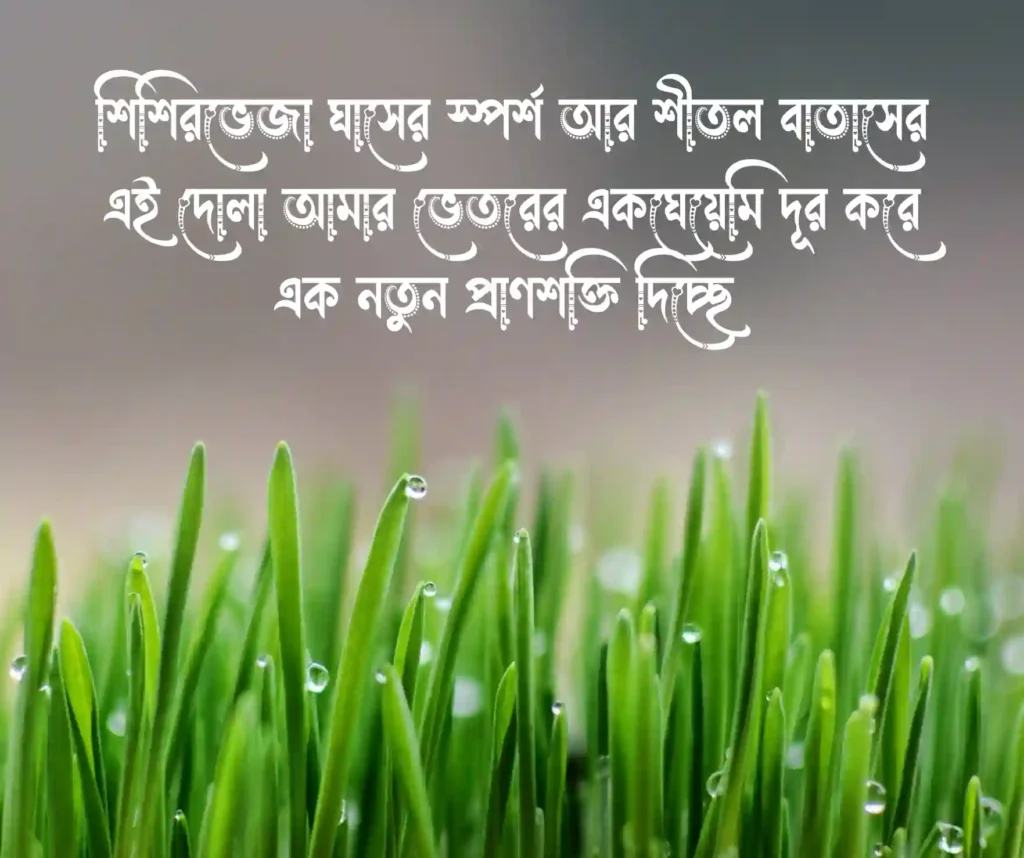 শুভ সকাল নিয়ে স্ট্যাটাস