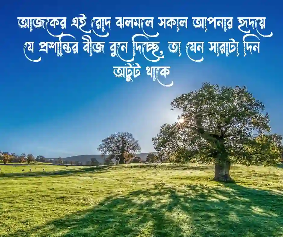 স্নিগ্ধ সকাল নিয়ে উক্তি&nbsp;