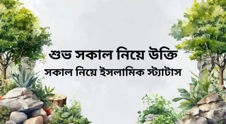 শুভ সকাল নিয়ে উক্তি - সকাল নিয়ে ইসলামিক স্ট্যাটাস