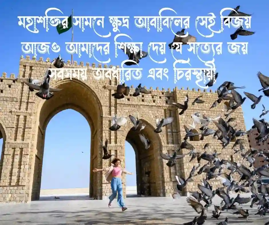 আবাবিল পাখি নিয়ে ক্যাপশন (1)