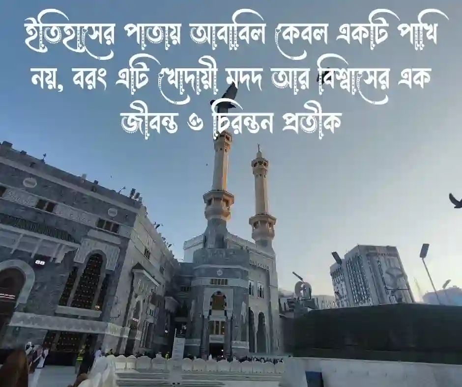 আবাবিল পাখি নিয়ে ক্যাপশন