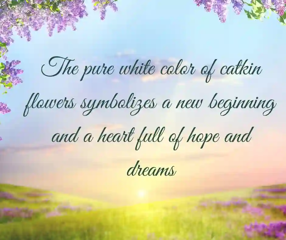 কাশফুল নিয়ে ক্যাপশন ইংলিশ