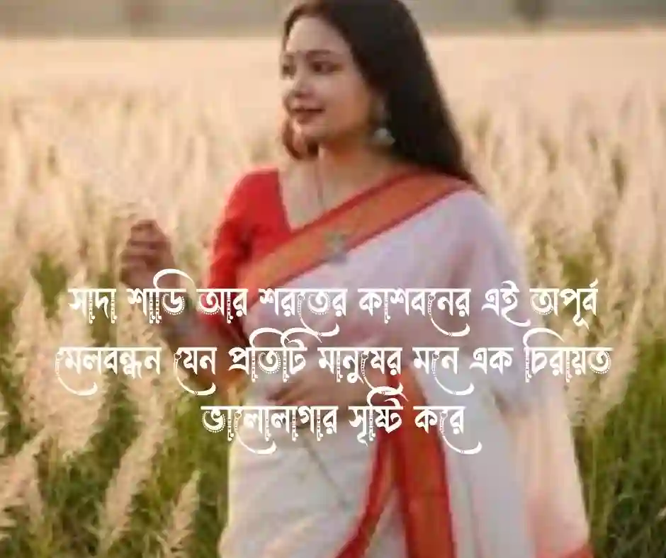 কাশফুল নিয়ে ক্যাপশন বাংলা