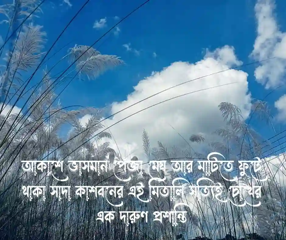 কাশফুল নিয়ে ছোট ক্যাপশন