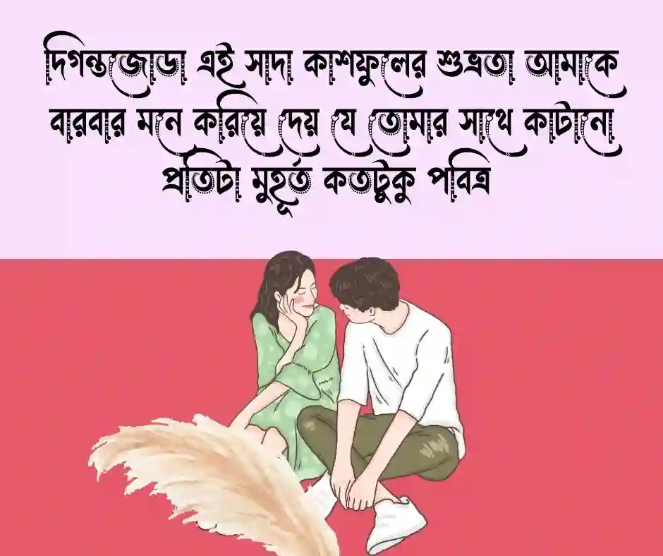 কাশফুল নিয়ে রোমান্টিক ক্যাপশন
