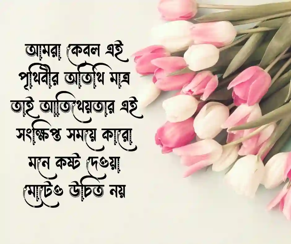 ক্ষণস্থায়ী জীবন নিয়ে উক্তি (2)