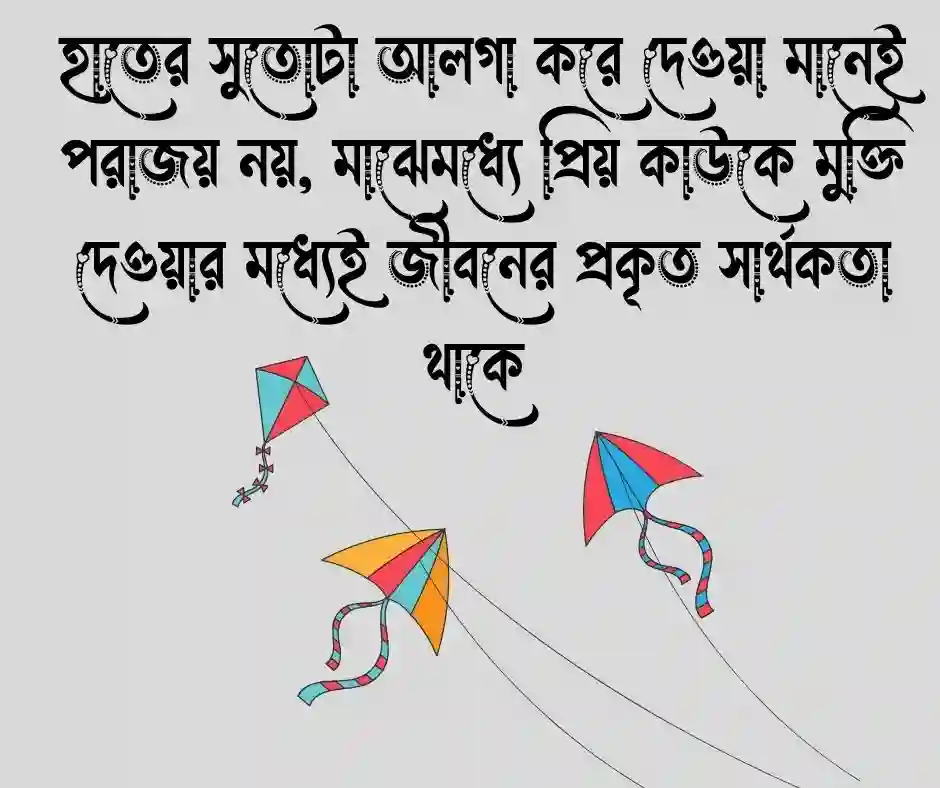 ঘুড়ি নিয়ে উক্তি