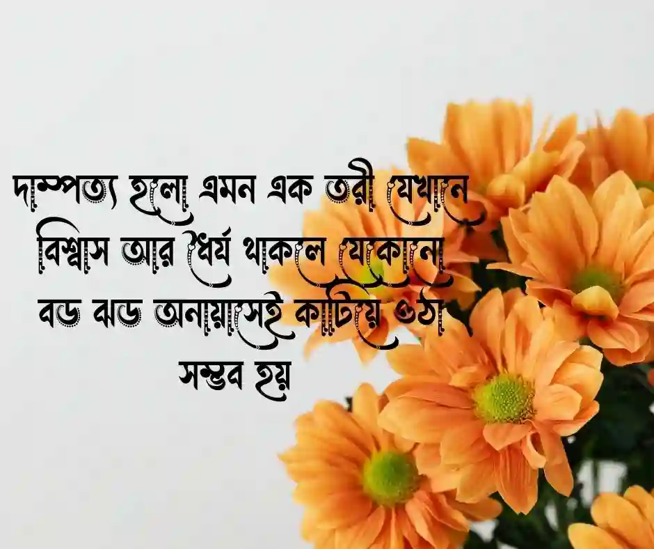 দাম্পত্য জীবন নিয়ে স্ট্যাটাস (1)