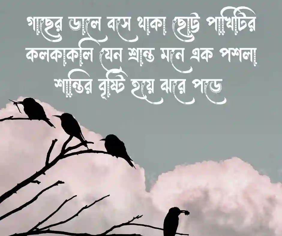 পাখি নিয়ে ক্যাপশন