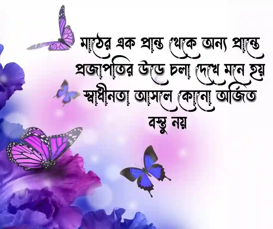 প্রজাপতি নিয়ে কিছু কথা
