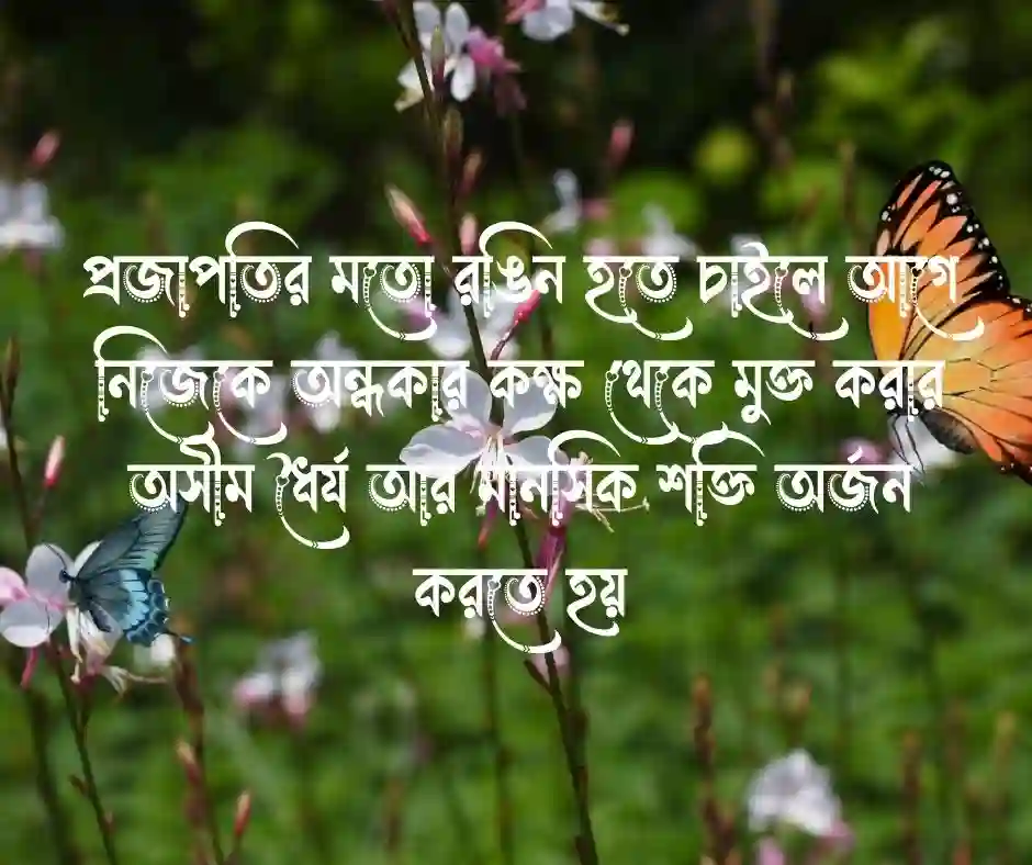 প্রজাপতি নিয়ে ক্যাপশন বাংলা