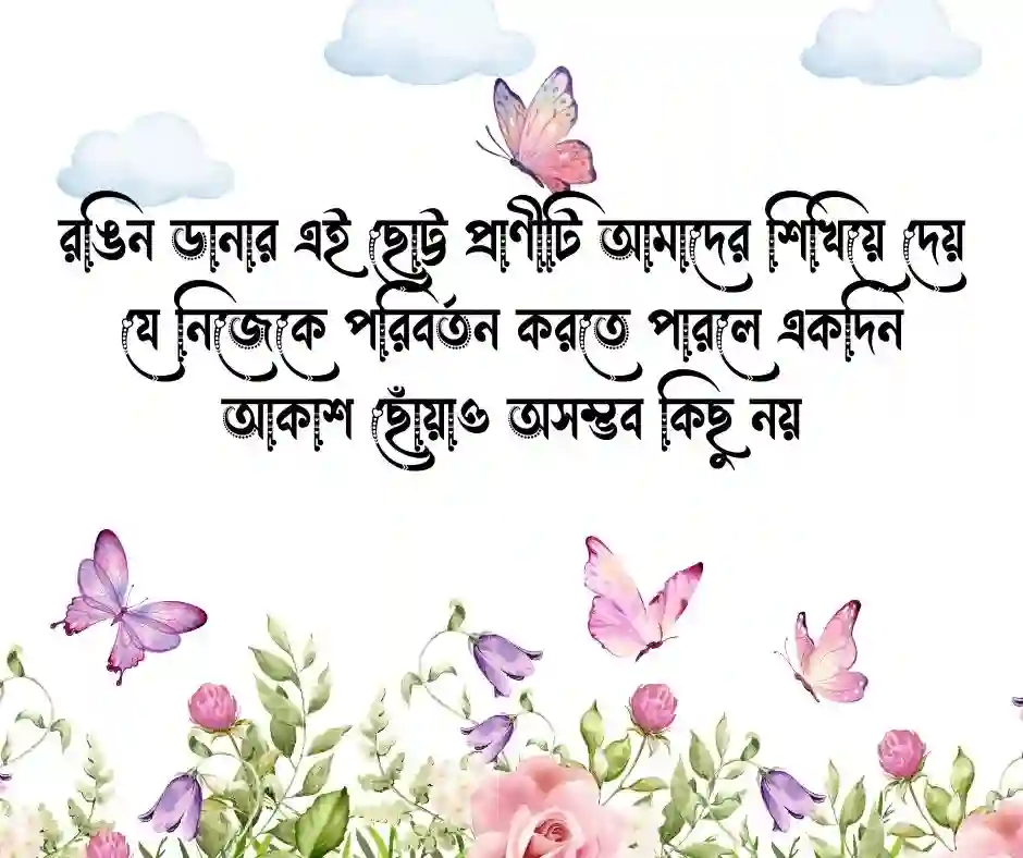 প্রজাপতি নিয়ে ক্যাপশন