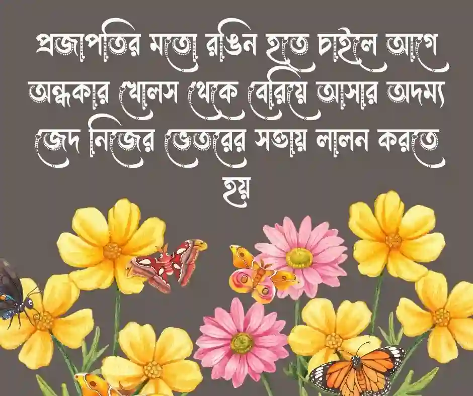 প্রজাপতি নিয়ে ছোট ক্যাপশন