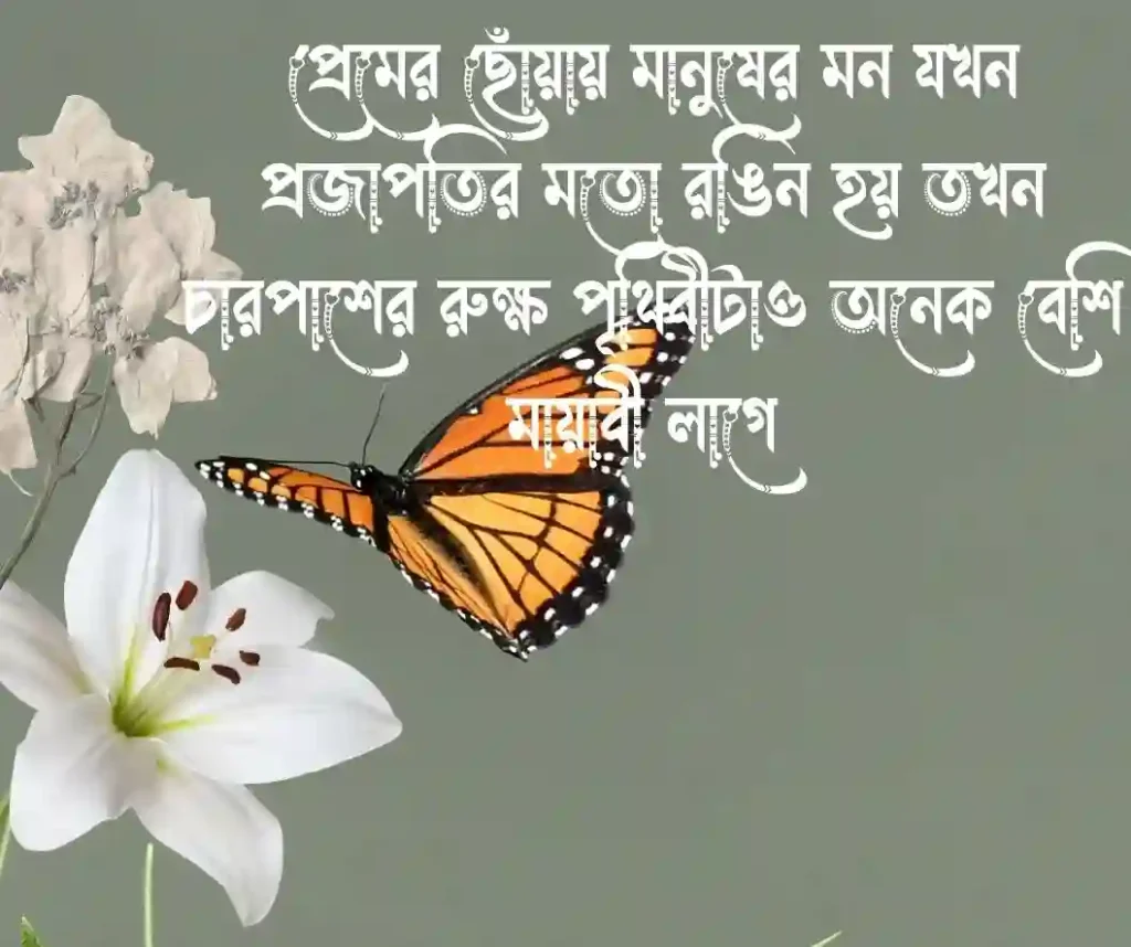 প্রজাপতি নিয়ে প্রেমের ক্যাপশন