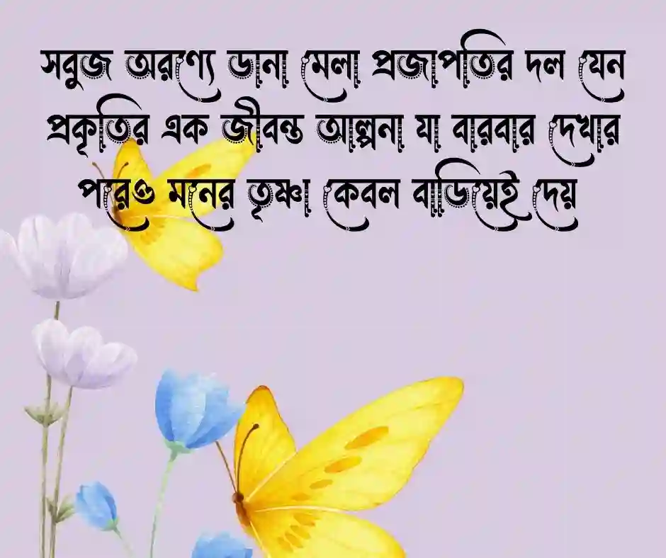 প্রজাপতি নিয়ে স্ট্যাটাস