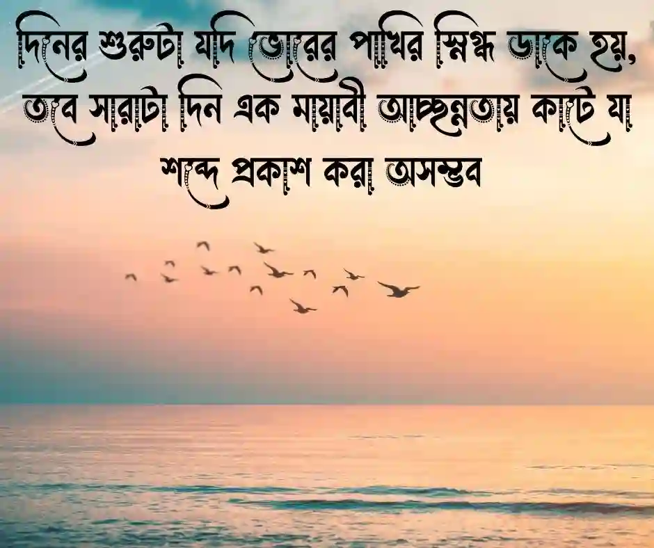ভোরের পাখি নিয়ে ক্যাপশন