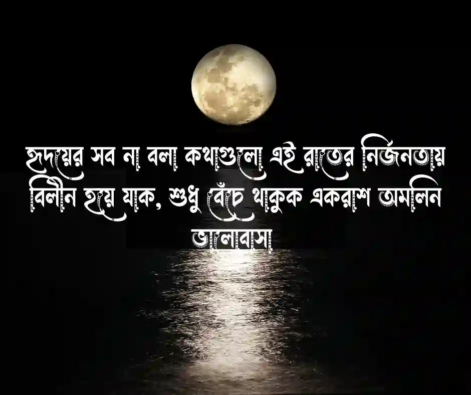 _শুভ রাত্রি নিয়ে ক্যাপশন বাংলা - good night status bangla