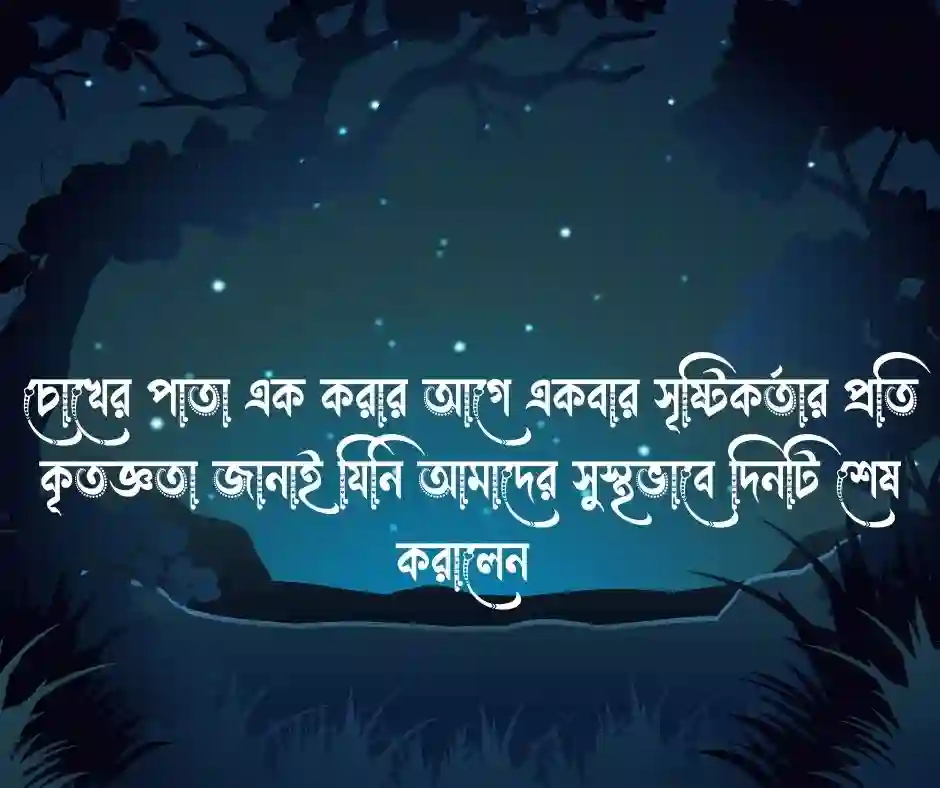 _শুভ রাত্রি নিয়ে ফেসবুক স্ট্যাটাস