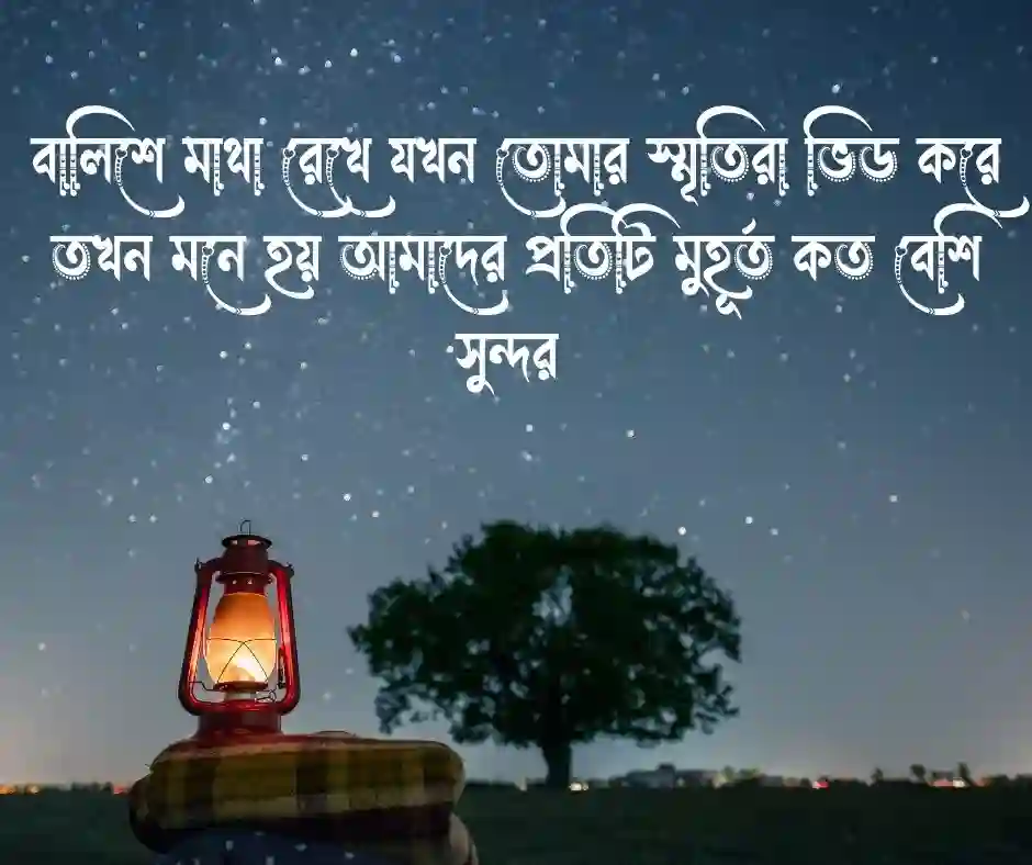 _শুভ রাত্রি নিয়ে রোমান্টিক ক্যাপশন