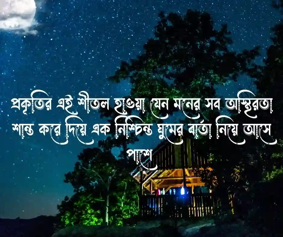_শুভ রাত্রি নিয়ে সুন্দর ক্যাপশন - beautiful good night