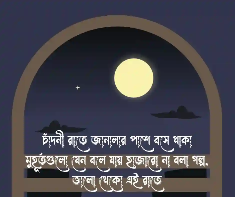 _শুভ রাত্রি নিয়ে স্ট্যাটাস - good night status
