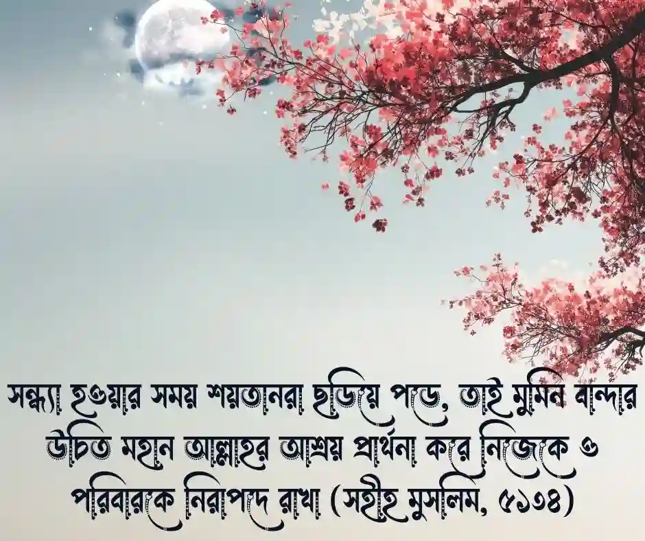 শুভ সন্ধ্যা নিয়ে ইসলামিক উক্তি
