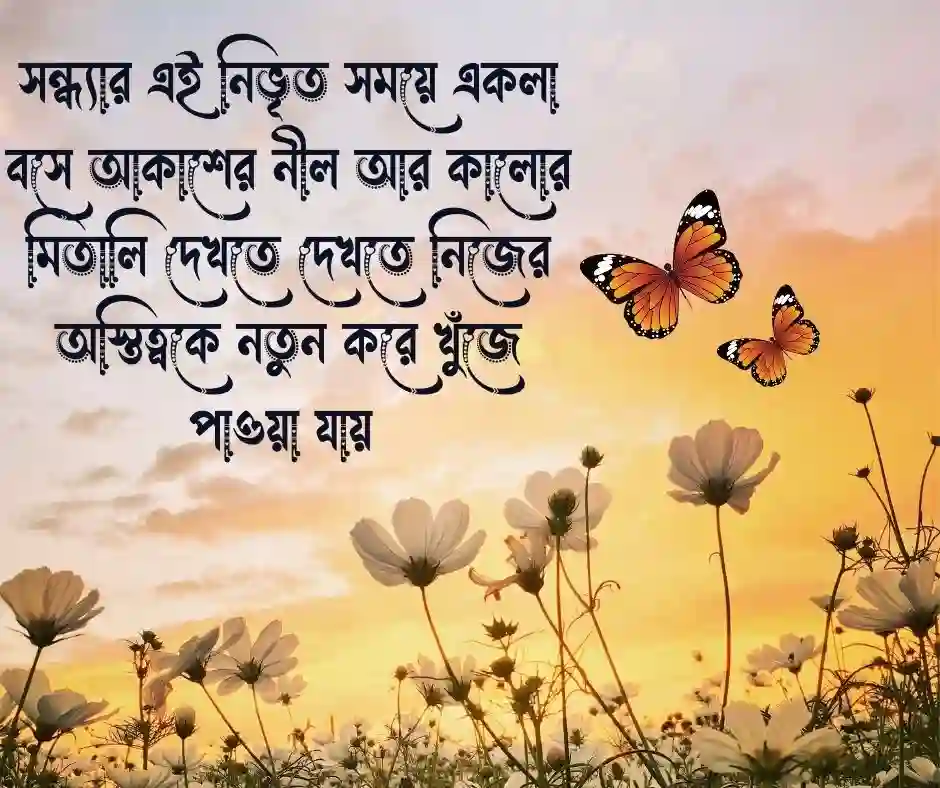 শুভ সন্ধ্যা নিয়ে উক্তি
