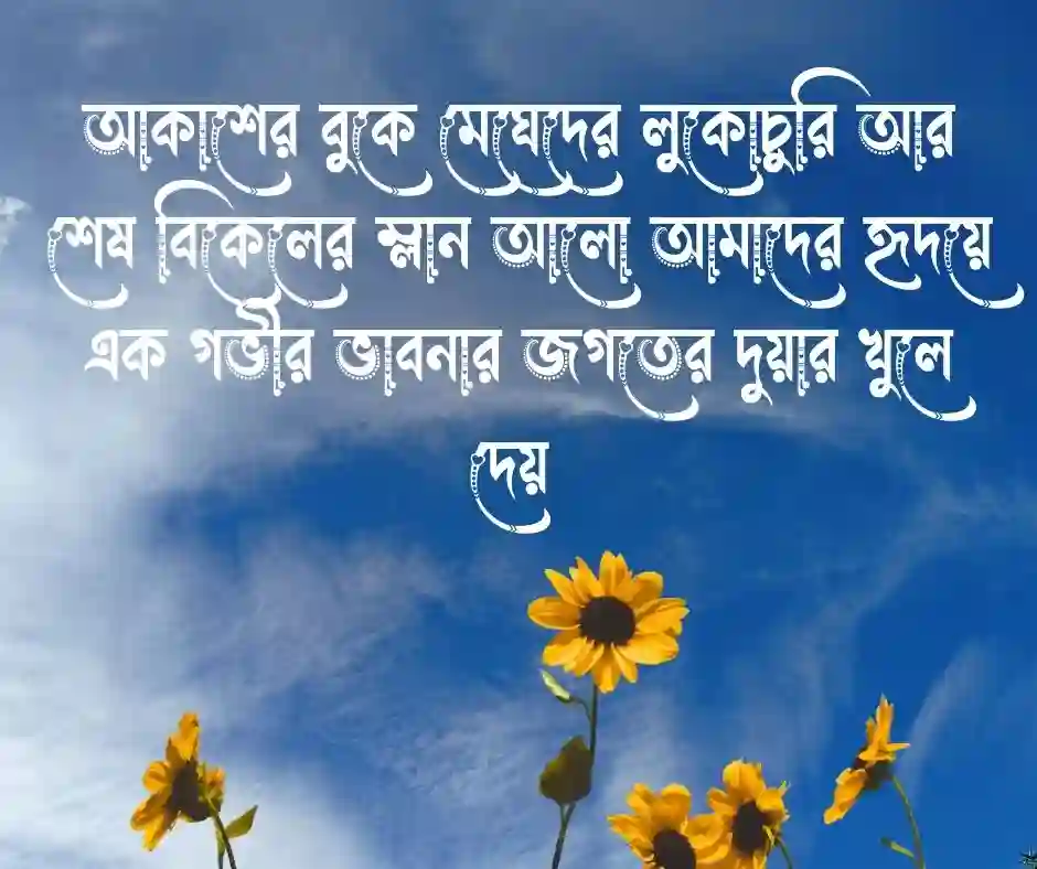 শুভ সন্ধ্যা নিয়ে ক্যাপশন বাংলা - good evening caption bangla