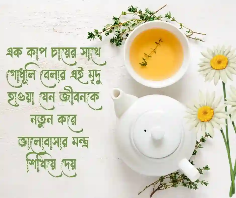 শুভ সন্ধ্যা নিয়ে ক্যাপশন - good evening captions