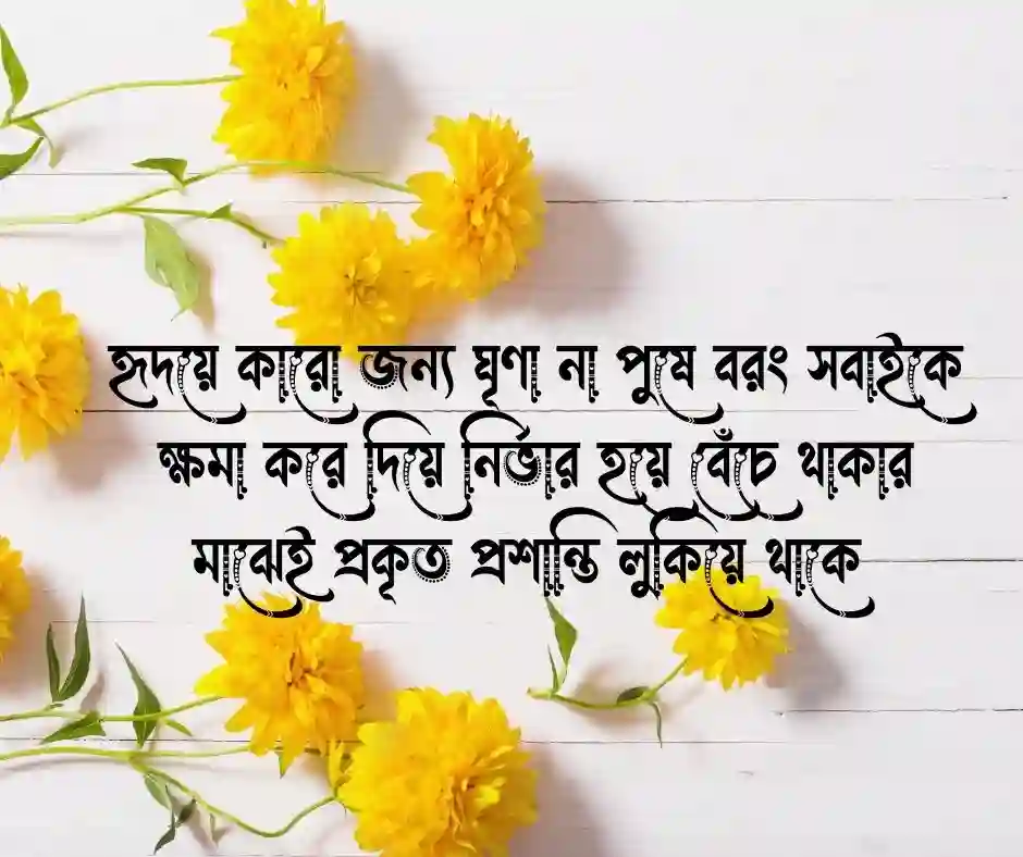 সুন্দর জীবন নিয়ে স্ট্যাটাস (2)