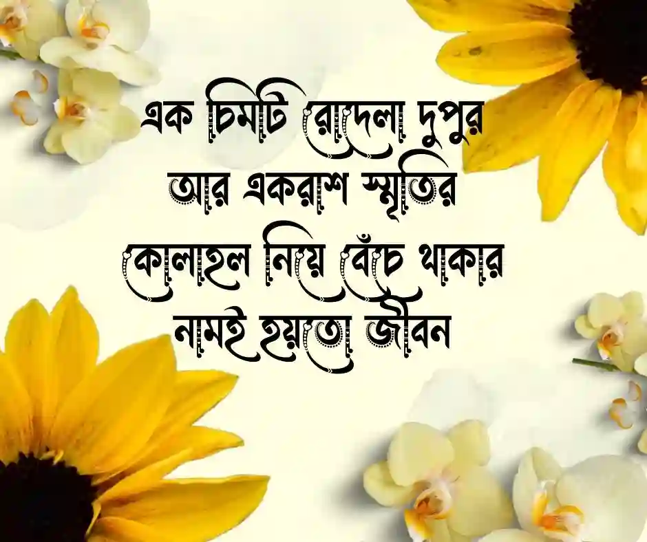 ক্যাপশন - Caption (1)