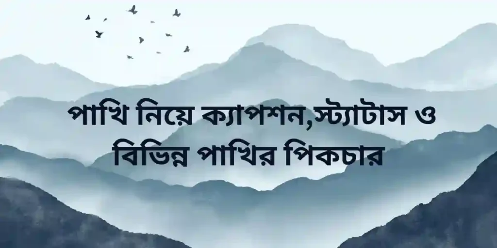 পাখি নিয়ে ক্যাপশন,স্ট্যাটাস ও বিভিন্ন পাখির পিকচার