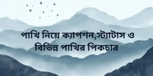 পাখি নিয়ে ক্যাপশন,স্ট্যাটাস ও বিভিন্ন পাখির পিকচার