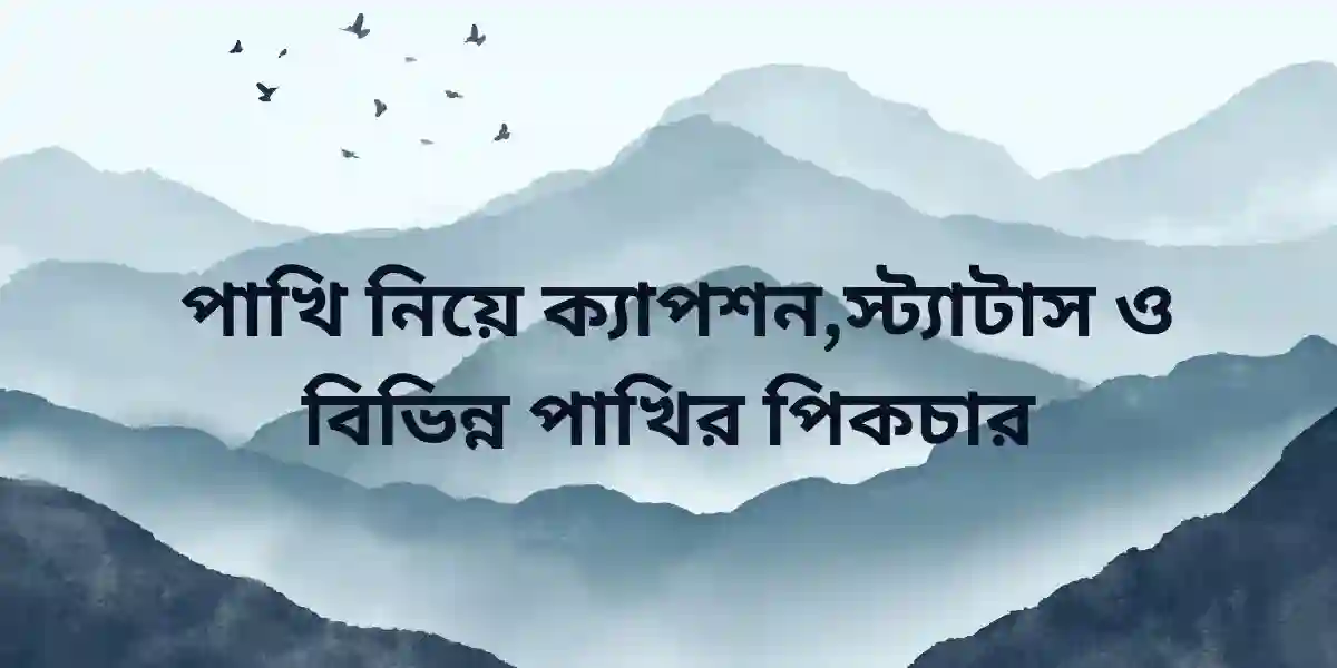 পাখি নিয়ে ক্যাপশন,স্ট্যাটাস ও বিভিন্ন পাখির পিকচার