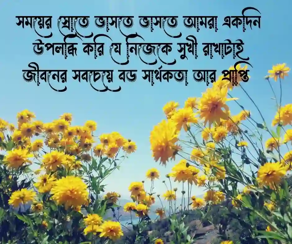 বাংলা ক্যাপশন - Bangla Caption (2)