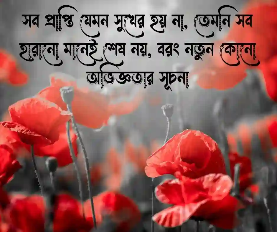 বাংলা ক্যাপশন সেরাটা - Best Bangla Caption (1)