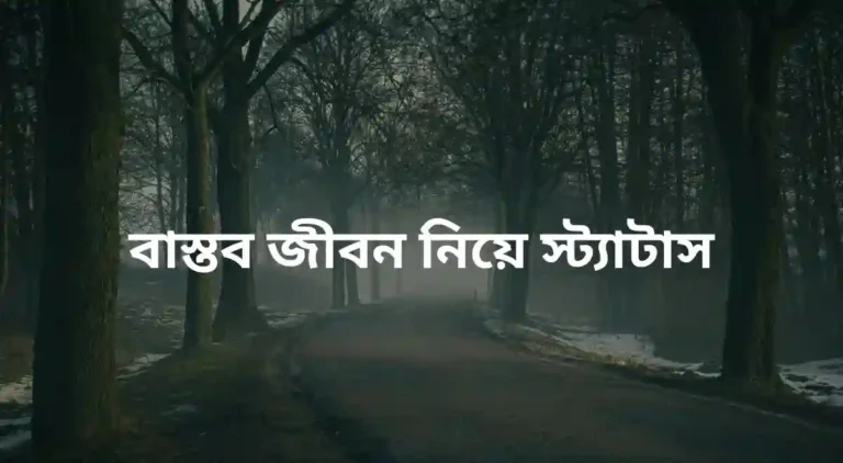 বাস্তব জীবন নিয়ে স্ট্যাটাস (3)