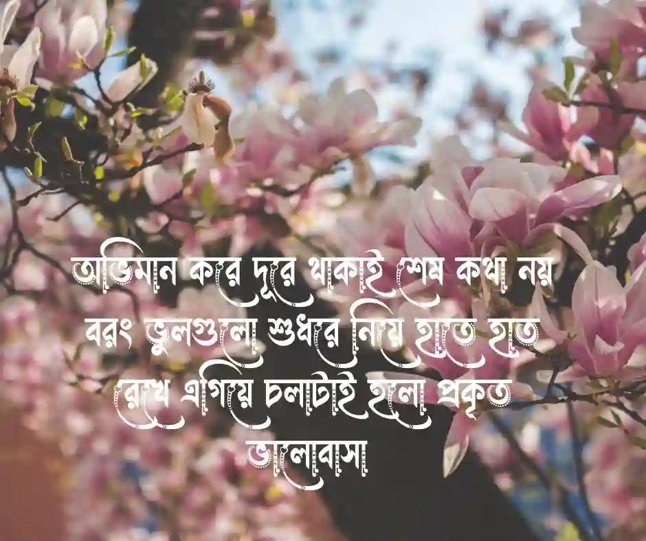 বেস্ট ক্যাপশন বাংলা  - Attitude Caption Bangla (1)