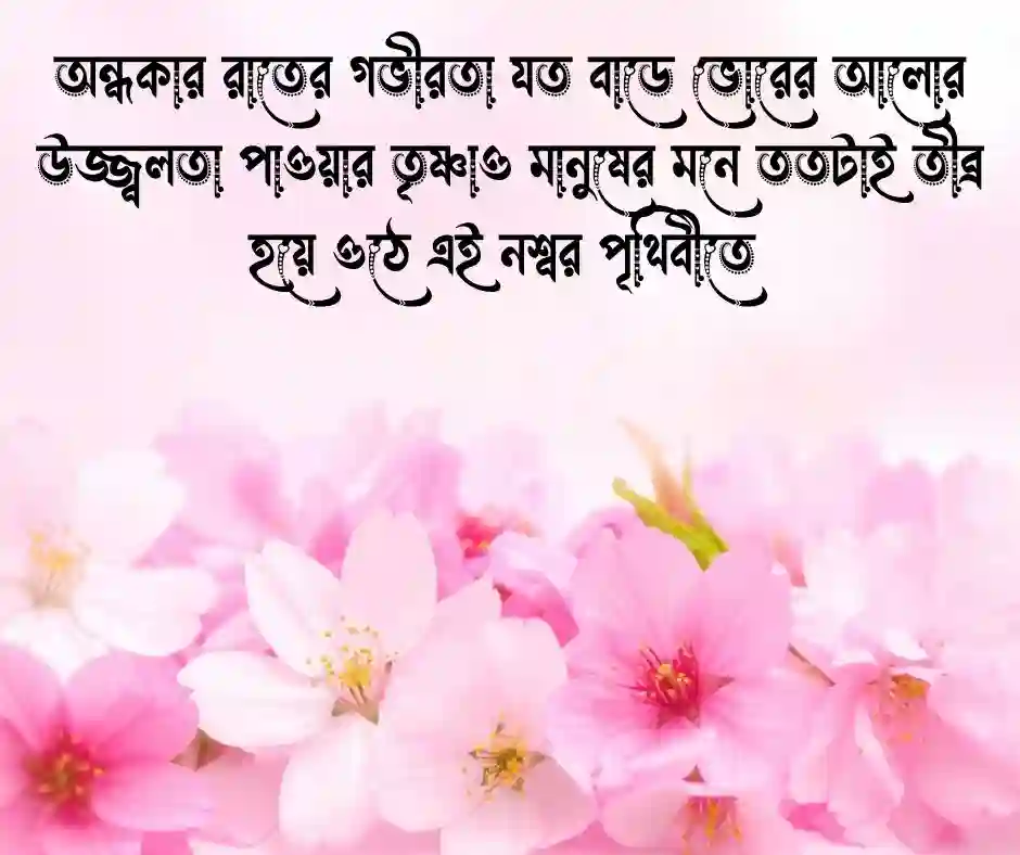 বেস্ট ক্যাপশন বাংলা  - Attitude Caption Bangla