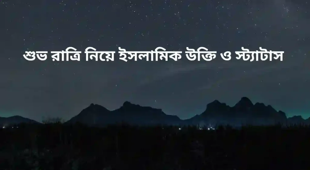 _শুভ রাত্রি নিয়ে ইসলামিক উক্তি ও স্ট্যাটাস