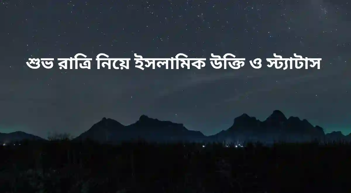 _শুভ রাত্রি নিয়ে ইসলামিক উক্তি ও স্ট্যাটাস