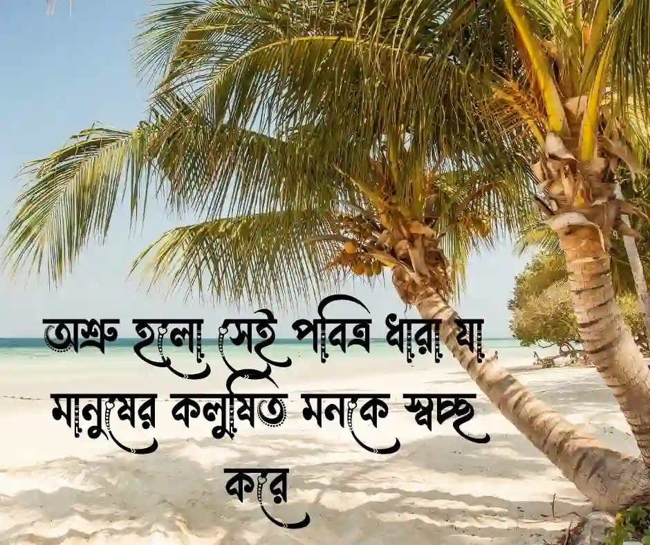 অশ্রু নিয়ে উক্তি