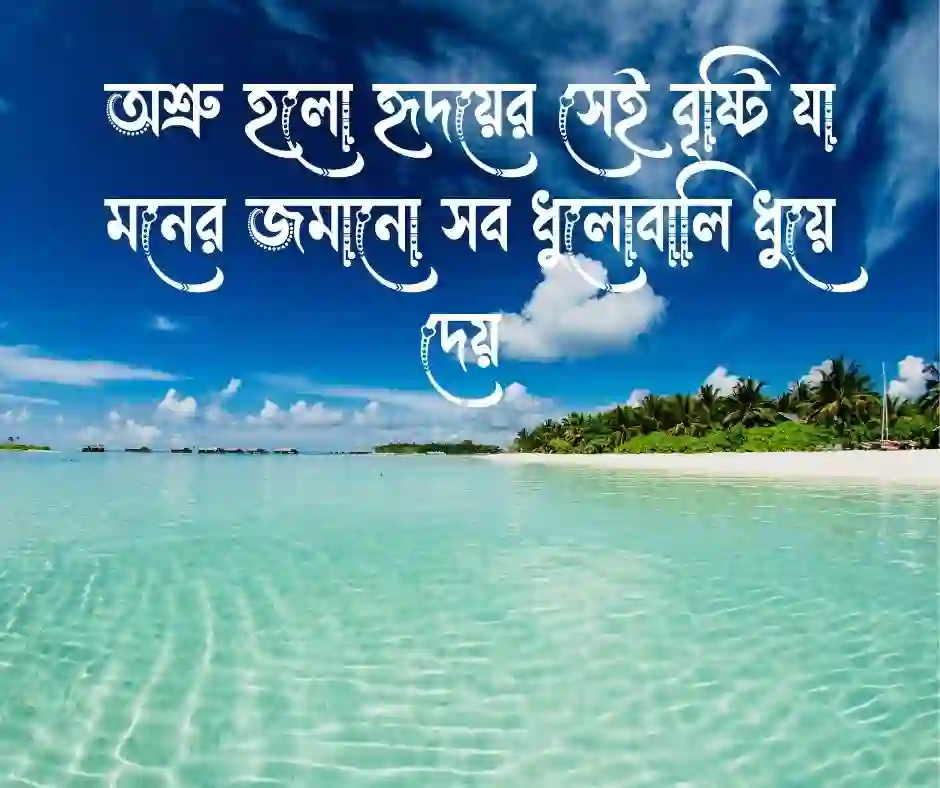 অশ্রু নিয়ে ক্যাপশন