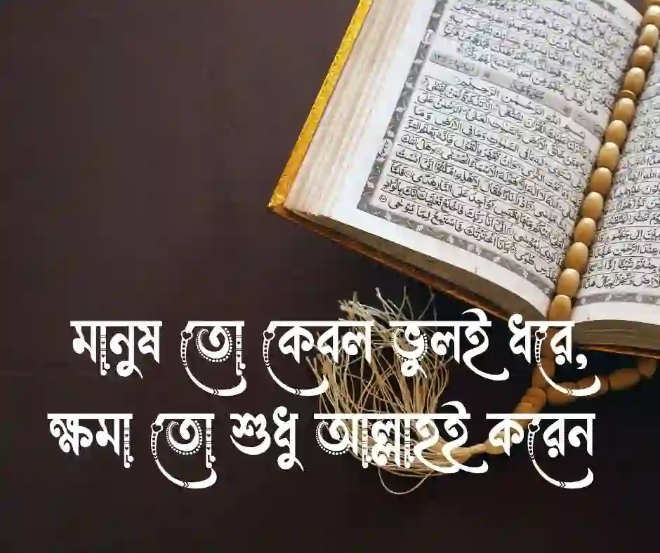 ইমোশনাল ইসলামিক স্ট্যাটাস