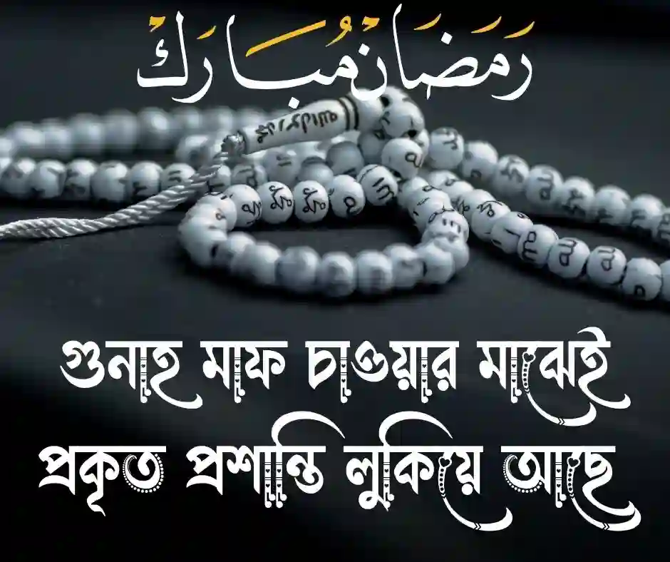 ইসলামিক স্ট্যাটাস (1)