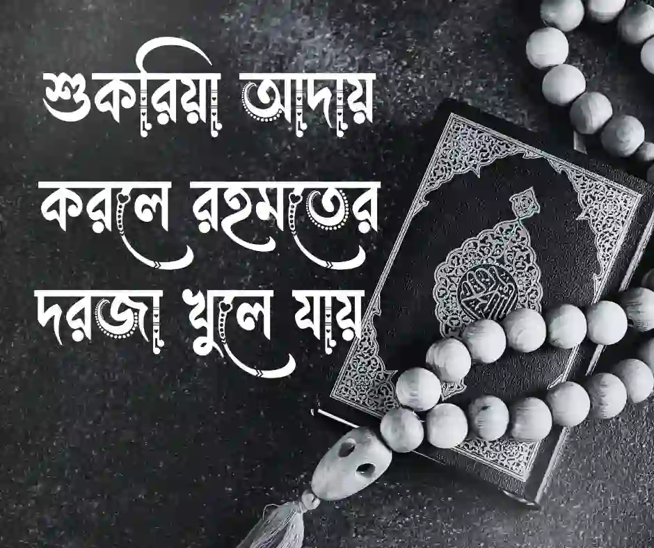 ইসলামিক স্ট্যাটাস