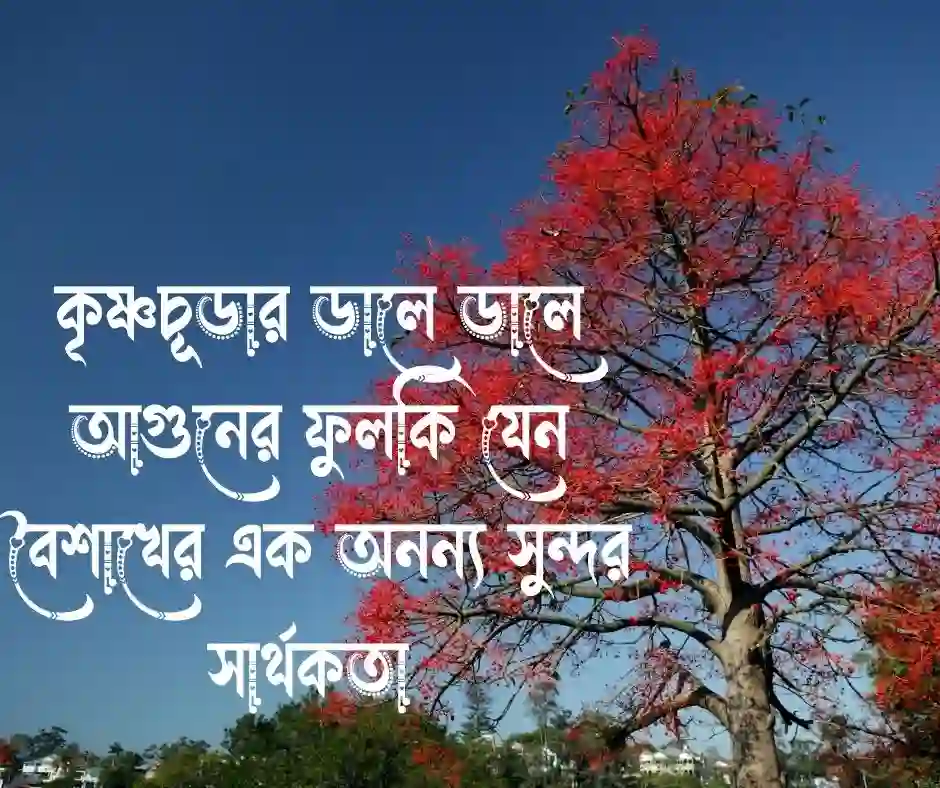 কৃষ্ণচূড়া ফুল নিয়ে ক্যাপশন (1)