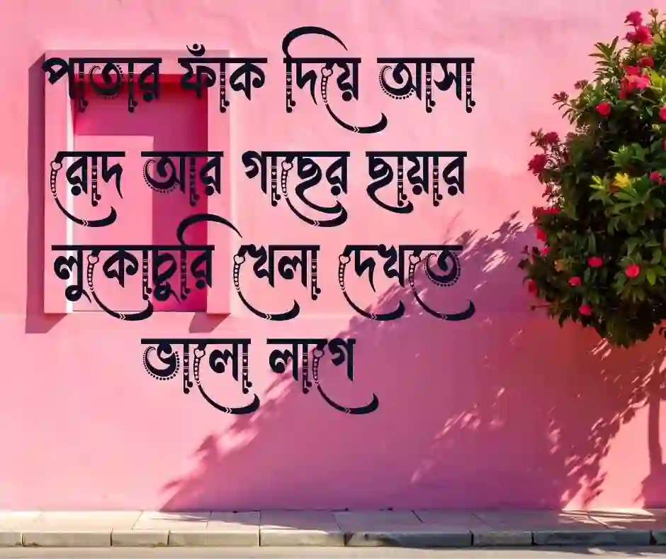 গাছের ছায়া নিয়ে ক্যাপশন
